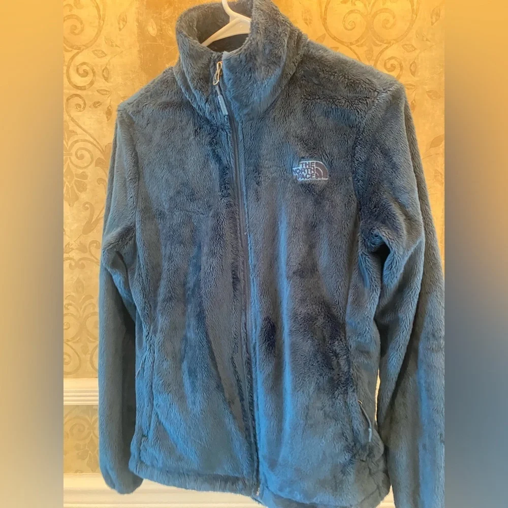 The North Face Men's Deep Blue Performance Jacket
